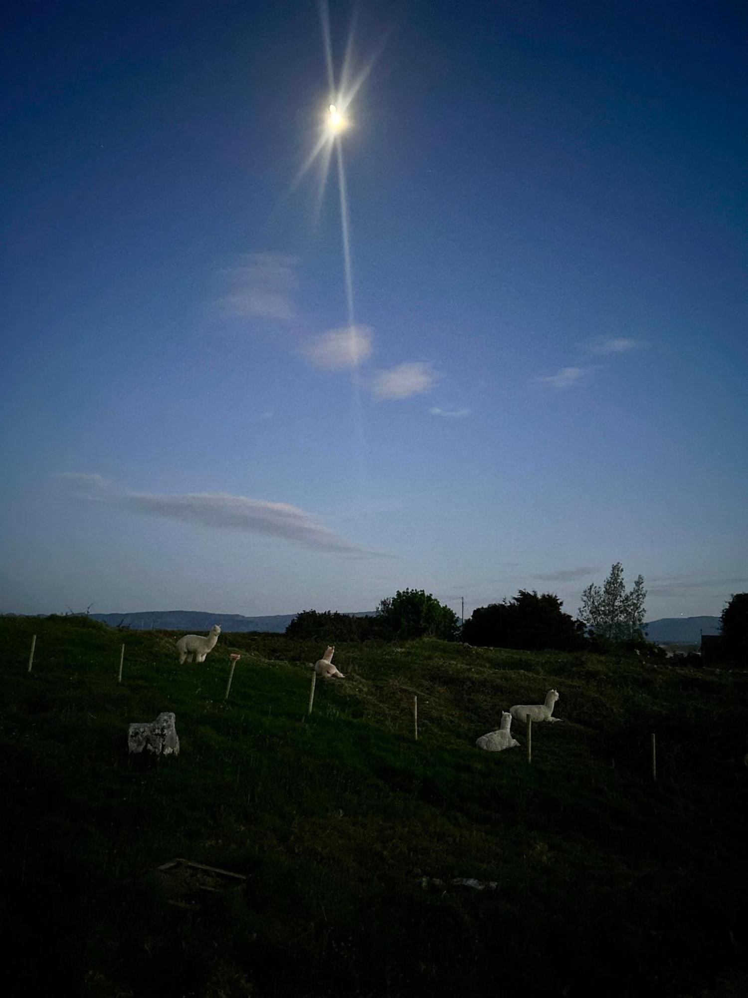 The Creevy Cabin Ballure Exterior foto